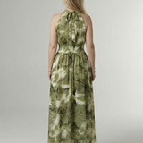 Amparo — Olive Leaf