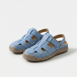 Abelia — Light Blue