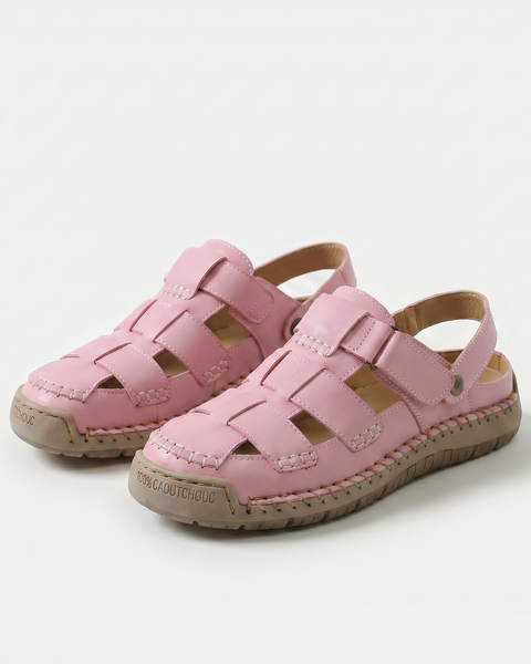 Abelia — Pink